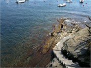 IMG_0127