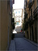 IMG_0241