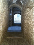 IMG_0243