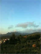 IMG_0288