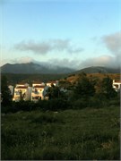 IMG_0290