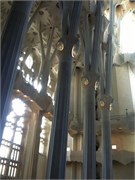 IMG_0350