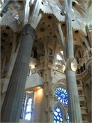 IMG_0354