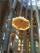 IMG_0358