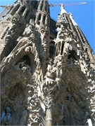IMG_0375