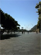 IMG_0386
