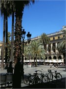IMG_0388