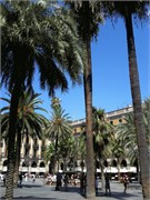 IMG_0389