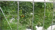 IMG_1165