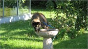 IMG_1179