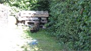 IMG_1183