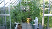 20080726_467