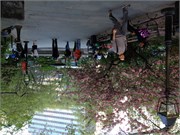 IMG_0023