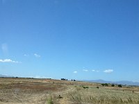 20160715 123339