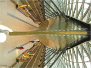 IMG_1883