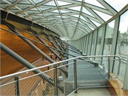 IMG_1884