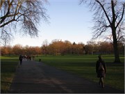 IMG_1923